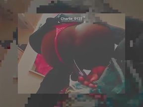 The Pleasures Behind the Silent Snow