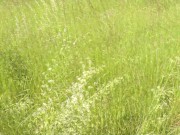 Outside. Wild beach. Random passerby man by river saw naked woman sunbathing. Outdoor. Nudist