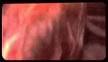 Seductive Amateur Darryll Blowjob Scene Recommended