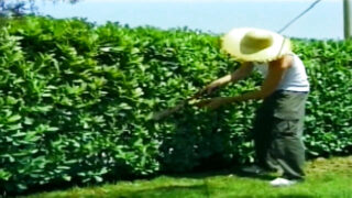 Guys get their asses fucked hard in raw anal session with huge cumshots