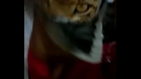 WhatsApp-Video-20160613 (1)