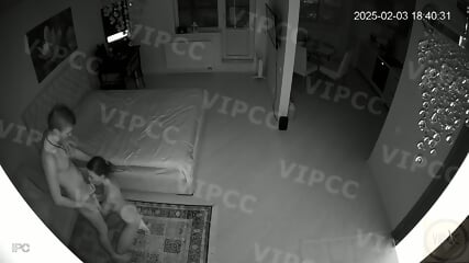 (VIPCC) Voyeur IP Camera 2010