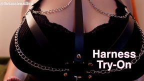 Harness Try On