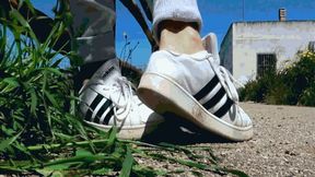 Smelly sneakers and socks after a run WMV(1920X1080)FHD