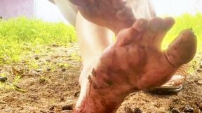 Summer Berry Crush Fun - Dirty Bare Feet Playing & Squishing Blackberries Under The Tree