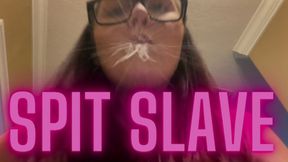 Spit Slave