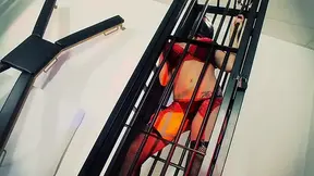 Sultry MILFs Mai Bailey and Krystal Webb go down on each other in a lesbian