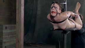 Hogtied submissive fucked with dildo