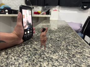 Shrunken BBW Giant World Fantasy