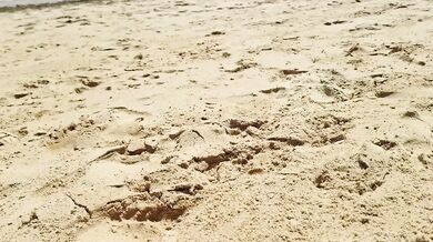 Naked couple gets caught exhibitionist on public beach compilation