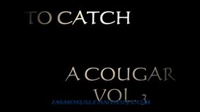 To Catch A Cougar VOL 3