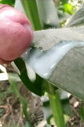 Village Masturbation and Cumshot on Leaf
