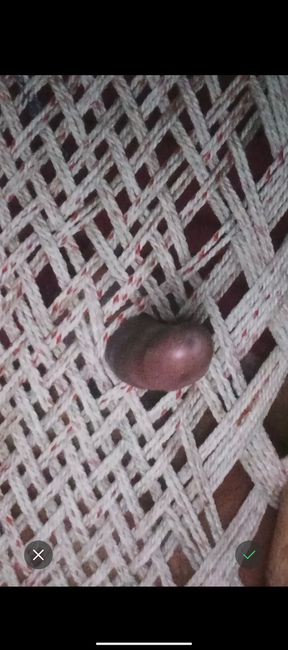 It was very nice to fuck the villagers on the cot.