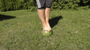 Sneaker-Girl Akira - Melon Crush