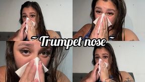 Trumpet nose