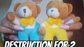 Destruction for 2 Teddy bears 609