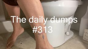The daily dumps #313 mp4