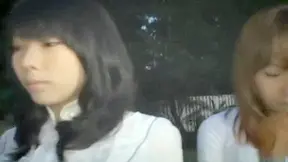 Brunette Teen Humiliated in Public – Naughty Girl's Shaming Secret