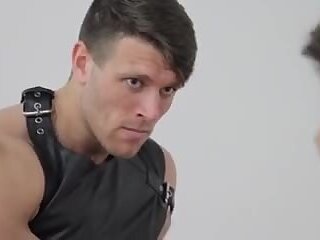 stupid gladiators