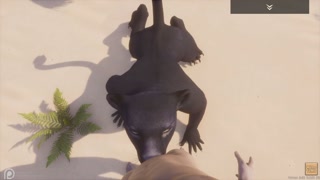 Wild Life / Black Furrie Panther Girl POV