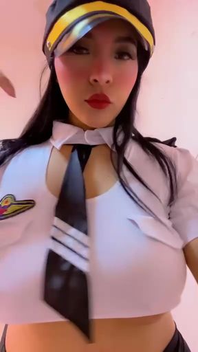 Airline pilot costume