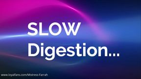 Slow Digestion