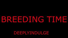 BREEDING TIME FOR YOUR PUSSY DADDY GETS YOU PREGGO (AUDIO ROLEPLAY) BREEDING BULL