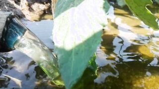 Squid Game - Squirt Game. The Art of Squirting on Tomatoes