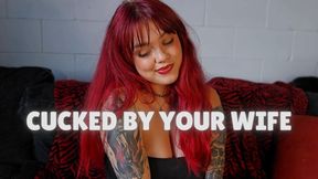 Cucked by Your Wife