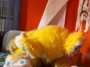 Bingo has a little fun in solo Fursuit porn