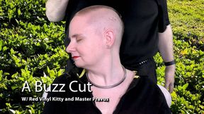 A Buzz Cut 1k