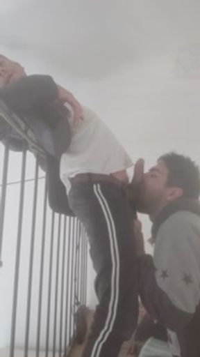 Taking care of a friend's house