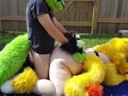 Furry backyard Sex