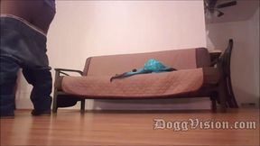 Pizza man bareback creampie big butt cougar BBW