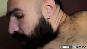 Bearded wolf slamming tight asshole
