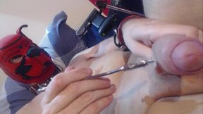 Horny Cock Injection Pinwheel