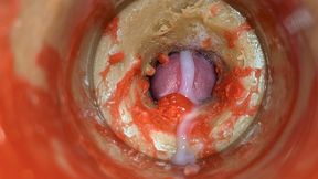 Camera 4k in Vagina, Cervix POV, &quot;Creampie&quot;, &quot;Fucking breed me&quot; ASMR SEX
