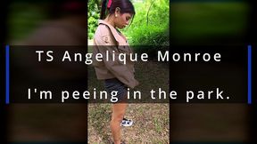 ts angelique monroe - pee