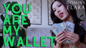 You Are My Wallet