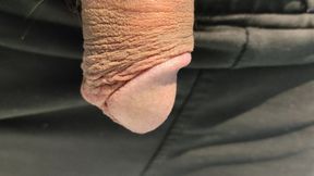 Pissing im my toilet