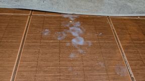 We Can Share the Bathroom but Fuck Me First, Just Don't Get Me Pregnant