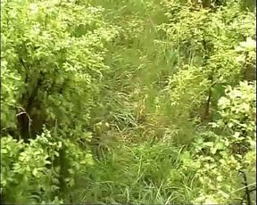 Who Is the Pussy Rammer 2