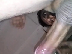 CULIAR PERRA - SQUIRTING ARGENTINIAN AMATEUR