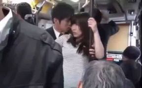 Japanese Busgropers