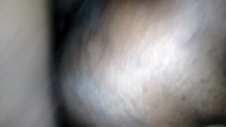 Coota Wet &amp; Messy A2M