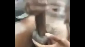 Black cock