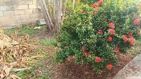 Because he is grabbing flowers, he comes out scratching his feet and body (3)