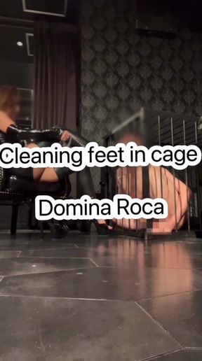 21. Cleaning feel in cage.