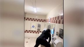 I Made A KINKY Humping Compilation For YOU!