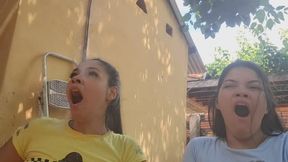Yawn Duo....